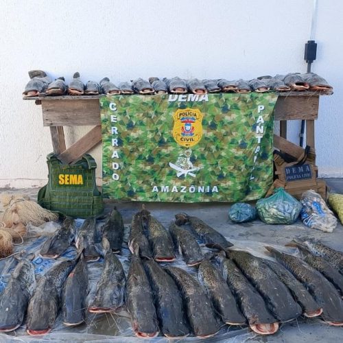 Sema e Dema apreendem 235 quilos de pescado em Barão de Melgaço após denúncia
