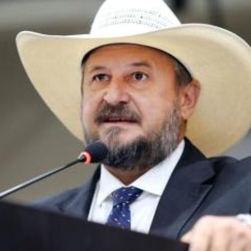 Cattani demonstra firmeza e lealdade: PL aguarda decisão de Bolsonaro sobre candidatura ao Governo de MT