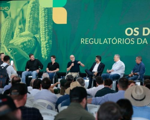 Mato Grosso dá início à colheita da segunda safra nacional de milho