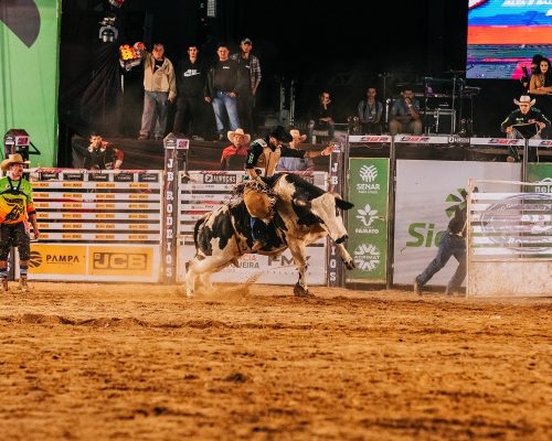 Rodeio da Expoagro 2025 promete adrenalina com grandes nomes e prêmios inéditos