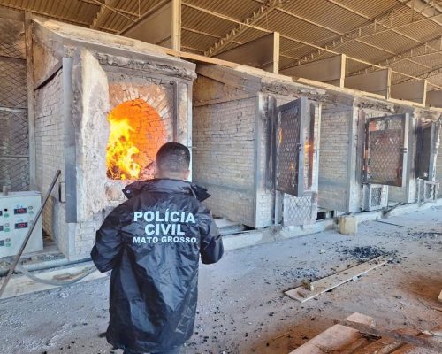 Polícia Civil incinera 150 quilos de drogas apreendidas em Lucas do Rio Verde