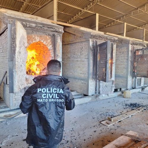Polícia Civil incinera 150 quilos de drogas apreendidas em Lucas do Rio Verde