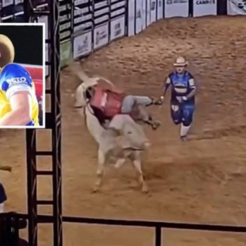 Tragédia na arena: jovem peão de 20 anos morre pisoteado por touro durante rodeio em Nova Ubiratã