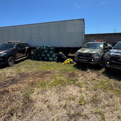 Gefron apreende mais de 1 tonelada de entorpecentes com auxílio de cães e causa prejuízo de R$ 23,5 milhões as facções