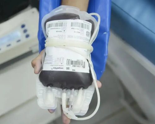 STF consolida direito de recusar transfusão de sangue por motivos religiosos