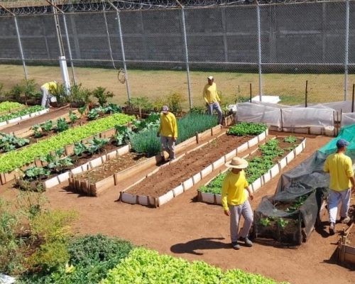 Oficinas em unidades prisionais ofertam trabalho e oportunidades de qualificação a reeducandos em MT