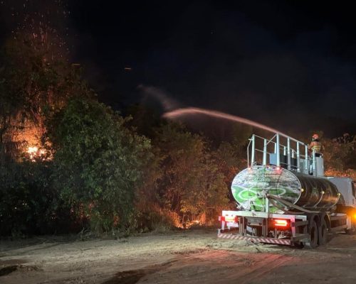 Bombeiros extinguem incêndio e impedem que chamas destruam Parque Florestal