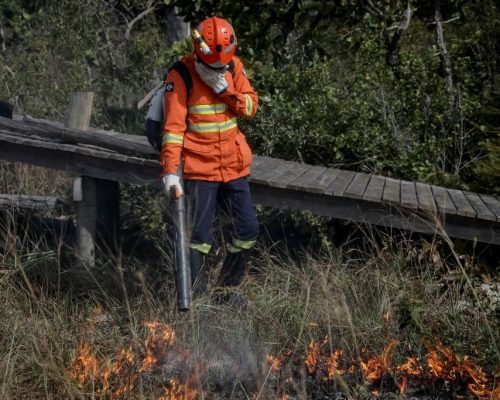 Corpo de Bombeiros combate 15 incêndios florestais neste sábado (30)