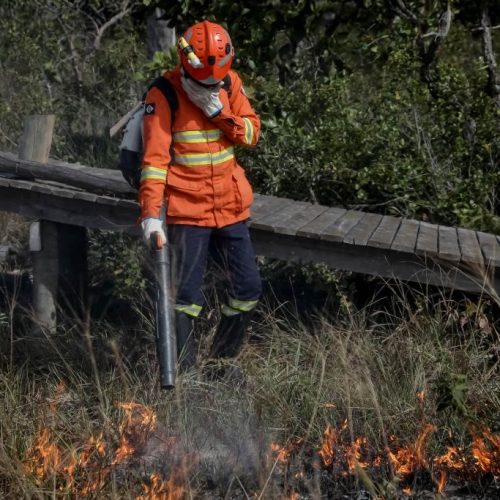 Corpo de Bombeiros combate 15 incêndios florestais neste sábado (30)