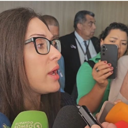 Janaina Riva diz que MDB focará em candidatura própria ao Senado em 2026