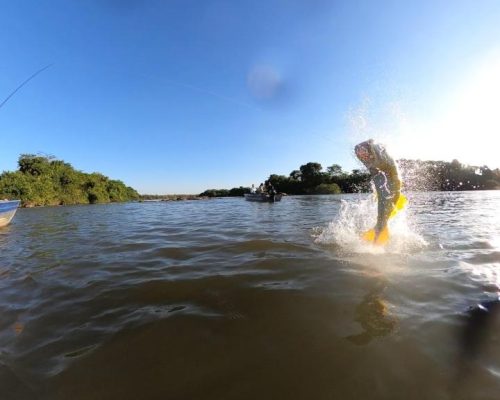 Confira as dez cidades de MT com os melhores destinos para pesca esportiva