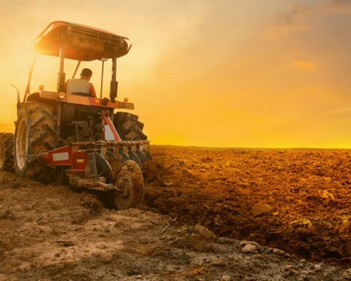 Governo libera R$ 12 bi para renegociar dívidas rurais em todo o país