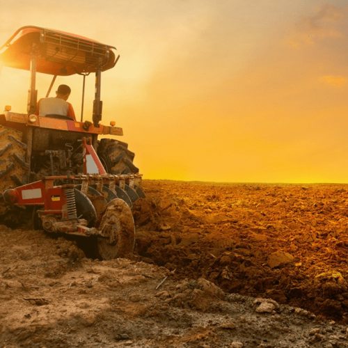 Governo libera R$ 12 bi para renegociar dívidas rurais em todo o país