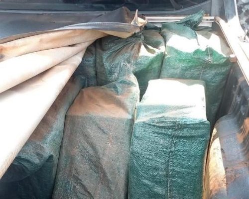 Polícia Militar e Gefron apreendem 247 tabletes de cocaína avaliados em mais de R$ 7 milhões