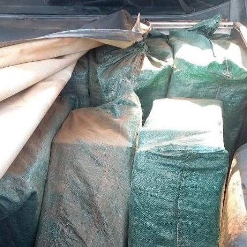 Polícia Militar e Gefron apreendem 247 tabletes de cocaína avaliados em mais de R$ 7 milhões