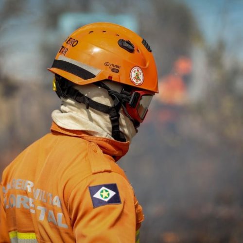 Corpo de Bombeiros combate 13 incêndios florestais nesta terça-feira (23)