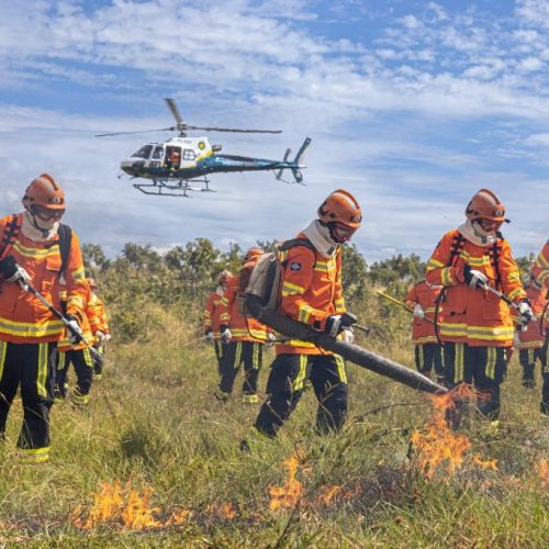 Corpo de Bombeiros combate oito incêndios florestais neste sábado (27)