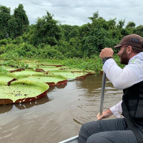 Mato Grosso sediará 1ª edição da COP Pantanal