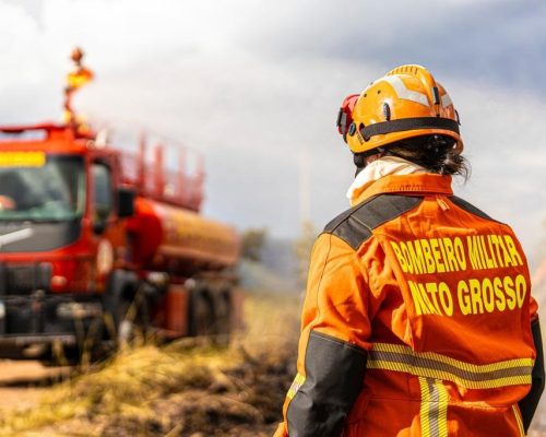 Corpo de Bombeiros combate 24 incêndios florestais nesta terça-feira (7)