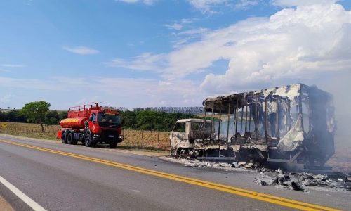 Corpo de Bombeiros combate incêndio em caminhão e em área de vegetação