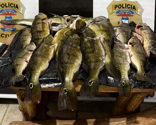 Polícia Civil realiza operação em combate à pesca predatória em Canarana