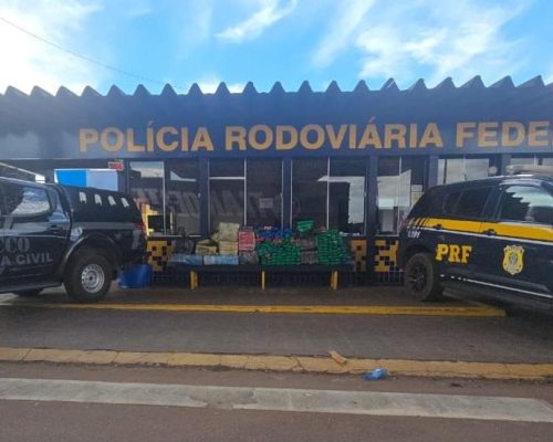 Polícia Civil e PRF apreendem 485 tabletes de maconha que eram transportados na BR-163 em Rondonópolis