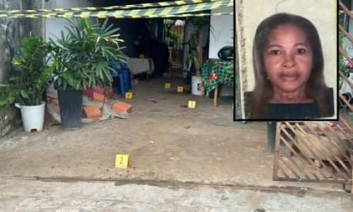 Polícia prende idoso que matou a ex-mulher com facadas