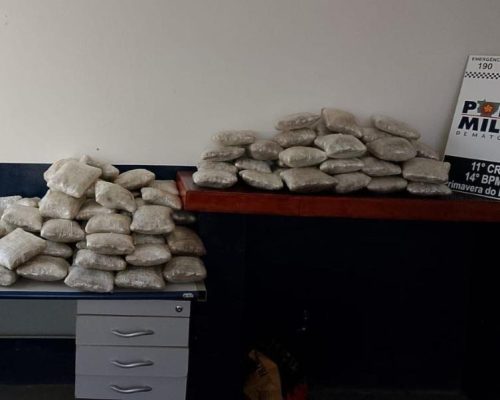 Operação apreende mais de 90 quilos de skunk e provoca prejuízo R$ 348 mil às facções criminosas