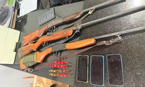 Polícia Militar e Sema prendem três homens com espingardas em área de exploração ilegal de madeira