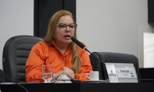 Presidente da Câmara de Cuiabá minimiza polêmica sobre nome de ex-secretário citado na CPI da Previdência