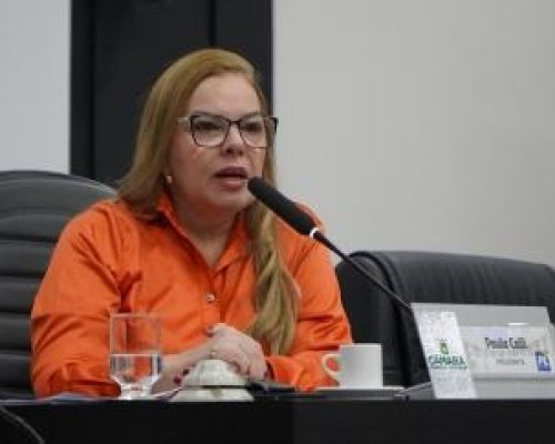 Presidente da Câmara de Cuiabá minimiza polêmica sobre nome de ex-secretário citado na CPI da Previdência