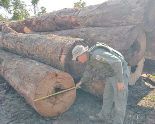 Sema apreende maquinário e aplica R$ 130 mil em multas por desmate ilegal em Apiacás
