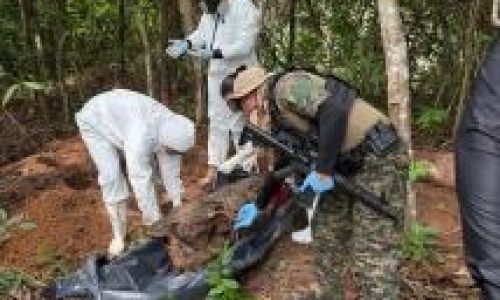 Facções enterram 33 corpos em 6 cemitérios clandestinos em Mato Grosso; investigações revelam padrão de tortura e ocultação