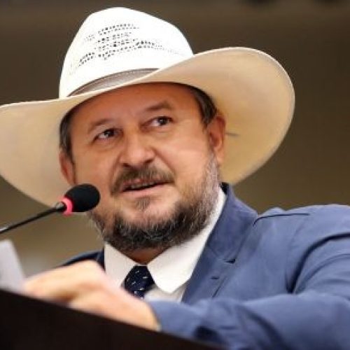 “MT pode ganhar programa pioneiro de amparo a órfãos de feminicídio; entenda proposta de Cattani”