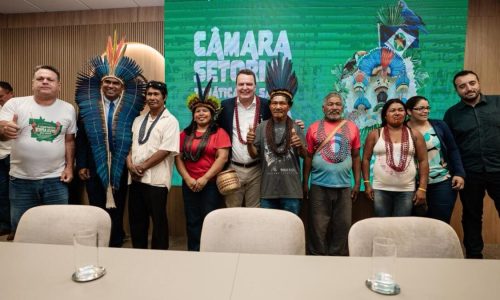 Max Russi amplia diálogo institucional para fortalecer a saúde indígena em Mato Grosso