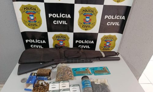Polícia Civil prende homem e aprende arma, 500 espoletas e mais de 200 projéteis