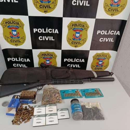 Polícia Civil prende homem e aprende arma, 500 espoletas e mais de 200 projéteis