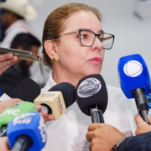 Presidente da Câmara, Paula Calil critica mudança de Vânia ao MDB e defende coerência política