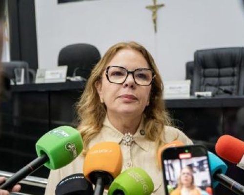 PAULA CALIL SAI EM DEFESA DE FAISSAL E DIZ QUE DEPUTADO É ALVO DE PERSEGUIÇÃO POLÍTICA APÓS OPERAÇÃO DA PF