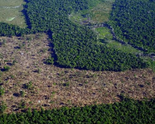 Levantamento aponta que R$ 92,4 bilhões em crédito rural foram destinados a propriedades com alertas ambientais; Mato Grosso aparece entre os estados com maior volume
