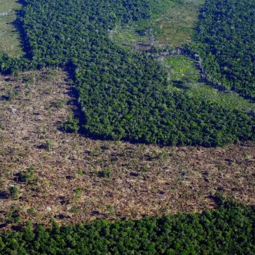 Levantamento aponta que R$ 92,4 bilhões em crédito rural foram destinados a propriedades com alertas ambientais; Mato Grosso aparece entre os estados com maior volume