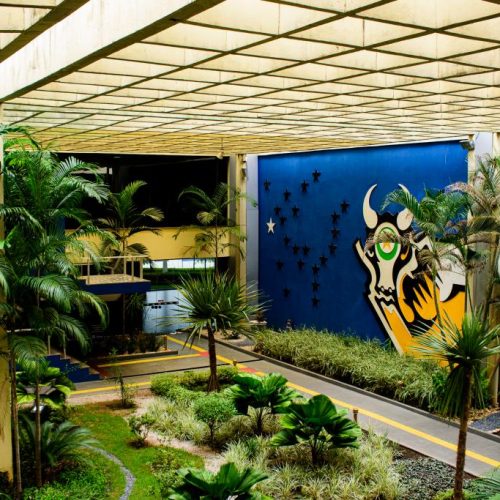 Mato Grosso lidera ranking nacional de solvência fiscal e reforça equilíbrio das contas públicas