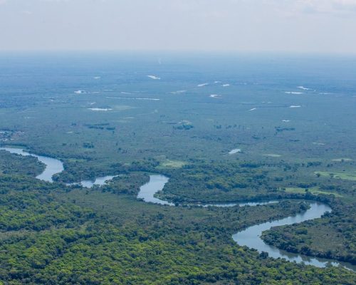 Maior reserva privada do Brasil completa 29 anos como referência em conservação, pesquisa e desenvolvimento sustentável no Pantanal