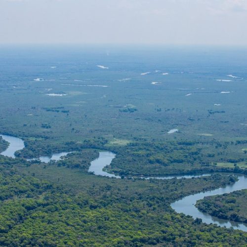 Maior reserva privada do Brasil completa 29 anos como referência em conservação, pesquisa e desenvolvimento sustentável no Pantanal