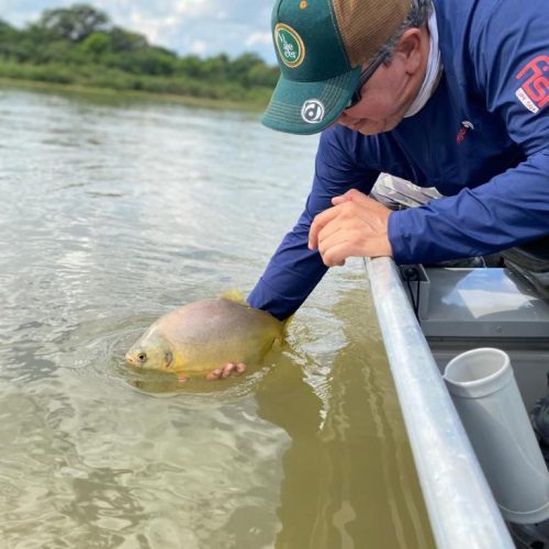 Fim da piracema abre temporada de pesca esportiva e impulsiona turismo em Mato Grosso