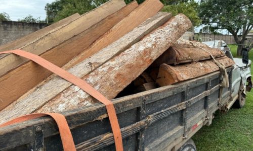 Polícia Civil e Funai desarticulam esquema de desmatamento ilegal em terra indígena em MT