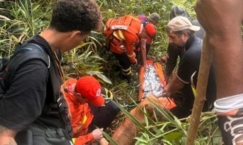 Mulher desaparecida é encontrada com vida após dias na mata em MT