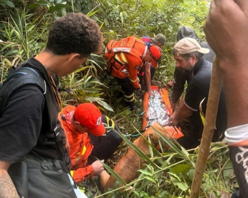 Mulher desaparecida é encontrada com vida após dias na mata em MT