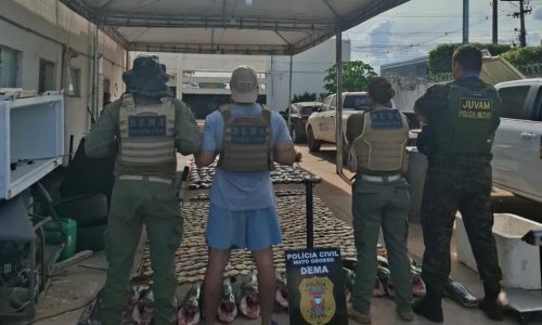 Operação desmonta esquema de pesca predatória no Rio Cuiabá e apreende mais de 900 quilos de pescado irregular