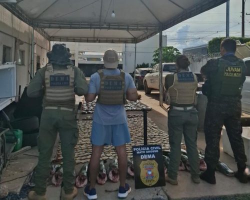 Operação desmonta esquema de pesca predatória no Rio Cuiabá e apreende mais de 900 quilos de pescado irregular